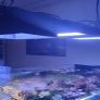 Reef Tank Cable Management Image 5