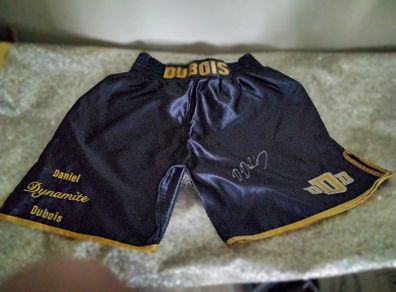 Boxing Daniel Dubois
