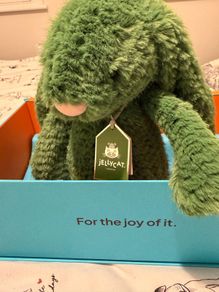 jellycat Blathnaid Bunny BMWT