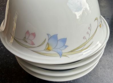 Porcelain China Desert Bowls x 5