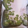Selection of beautiful vintage table cloths Image 3