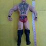 WWE Wrestlers Wrestler Action Figure Image 5
