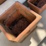 Terracotta plant pots Image 4