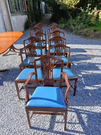 Antique dining table and chairs