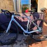 Canyon Endurace Image 2