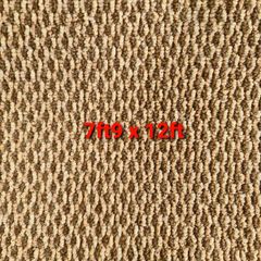 carpet 7ft9 x 12ft