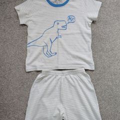 NEXT boys pj.age 5/6