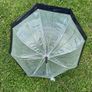 Ladies umbrella Image 2