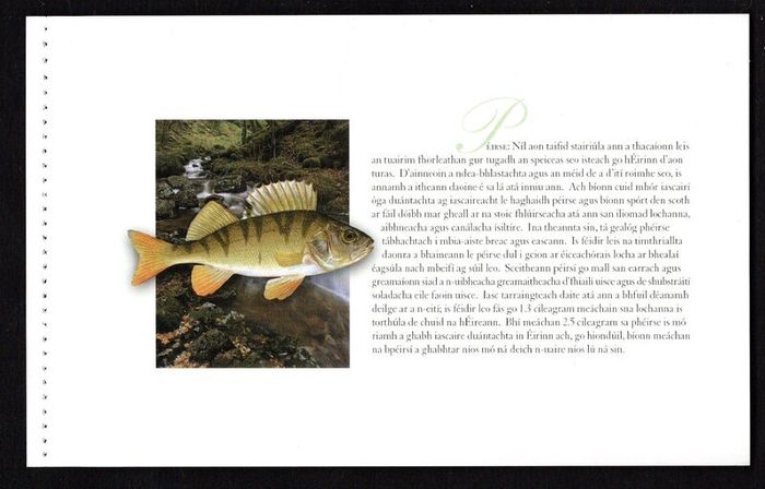 2001 Ireland Freshwater Fish Commemorative Stamp Booklet Mint Never Hinged (MNH). Photos of contents shown.