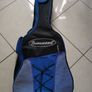Guitar case Image 6