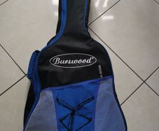 Guitar case