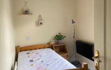 Single pine frame bed and practically new mattress