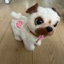 Little live pets Image 3