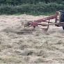 Hay Bob Image 9