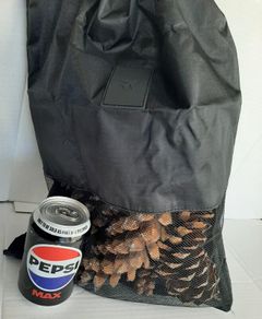 Mesh bag with pine cones