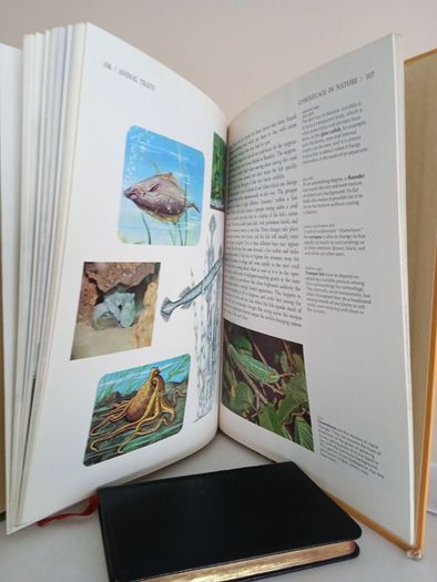 The Illustrated Library of Nature: A Pictorial Encyclopedia of Natural History and Ecology Published by H. S. Stuttman (14 Volumes)
