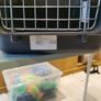 New Pet Carrier Image 2