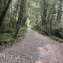sand,stone,topsoil,pebble,gravel,stone Image 9