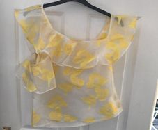 Beautiful coast summer top