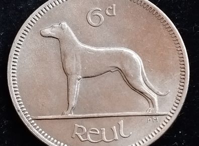 Ireland - 1966 - 6 Pence - Wolfhound - UNC - KM.13a - [2032]