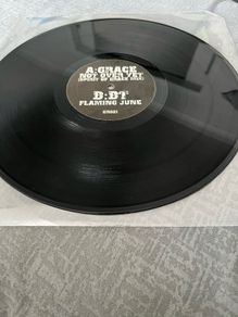vinyl record
