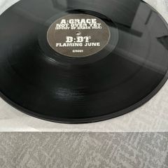vinyl record