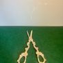 Victorian Grape Scissors Image 3
