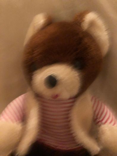 Vintage Teddy with waistcoat