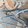 Boardman Sport Frame Image 10