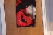 Frank Lyman Design Skirt. S.12   NEW - No Tag.