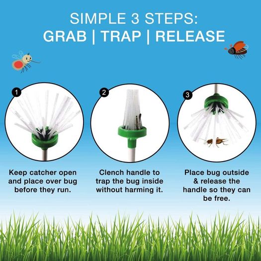 Spider Catcher, Bug Trap Catcher Extra Long with Handle, Safely Humanely Removes Spiders, Insects, Daddy Longlegs, Wasps, Bees and Moths, Original, Green (1)