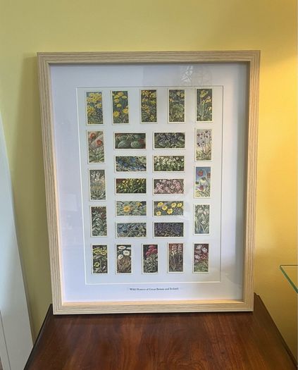 Wildflowers of GB & Ireland Tea Cards