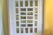 Wildflowers of GB &amp; Ireland Tea Cards