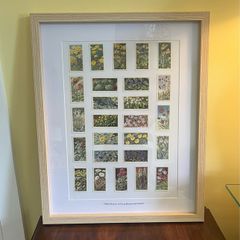 Wildflowers of GB & Ireland Tea Cards