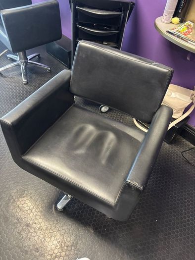 Salon Chairs