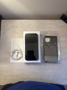 iPhone 13 100% battery