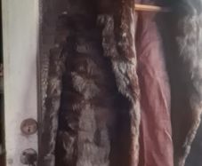 Vintage ladies real fur coat (post incl)