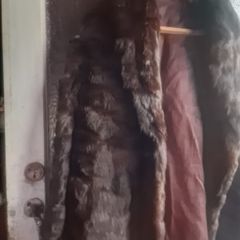 Vintage ladies real fur coat (post incl)