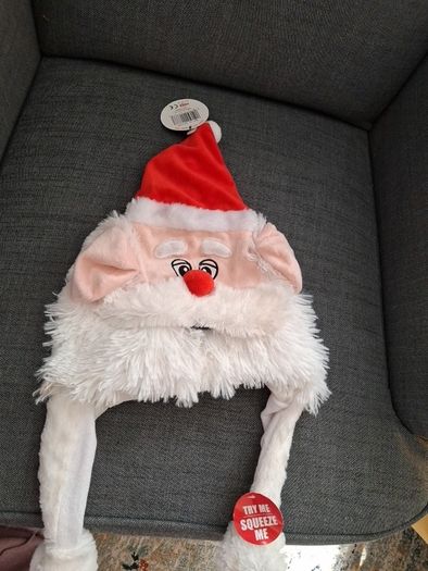 Christmas novelty santa hat.