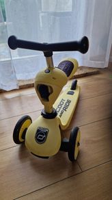 Scoot & ride scooter