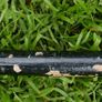 Antique Silver Handled Walking Stick. Twisted Silver Finish Handle Image 5
