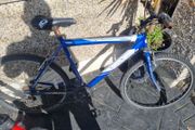 bike needs fixing