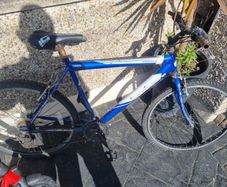 bike needs fixing