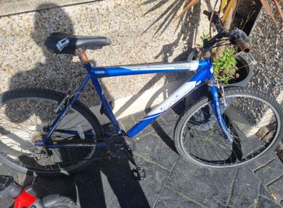 bike needs fixing