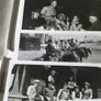 The Magnificent Seven Special Edition 2 disc Dvd Image 3