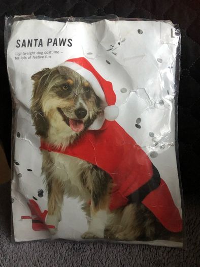 Dogs xmas suit size L