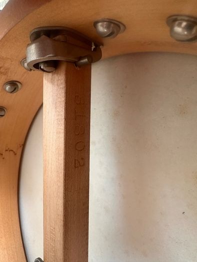 Bacon and Day Senorita Tenor Banjo