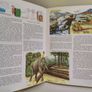 Vintage Different  Encyclopedia books Image 4