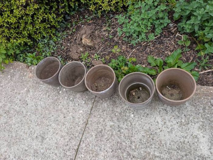 5 flower pots