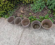 5 flower pots